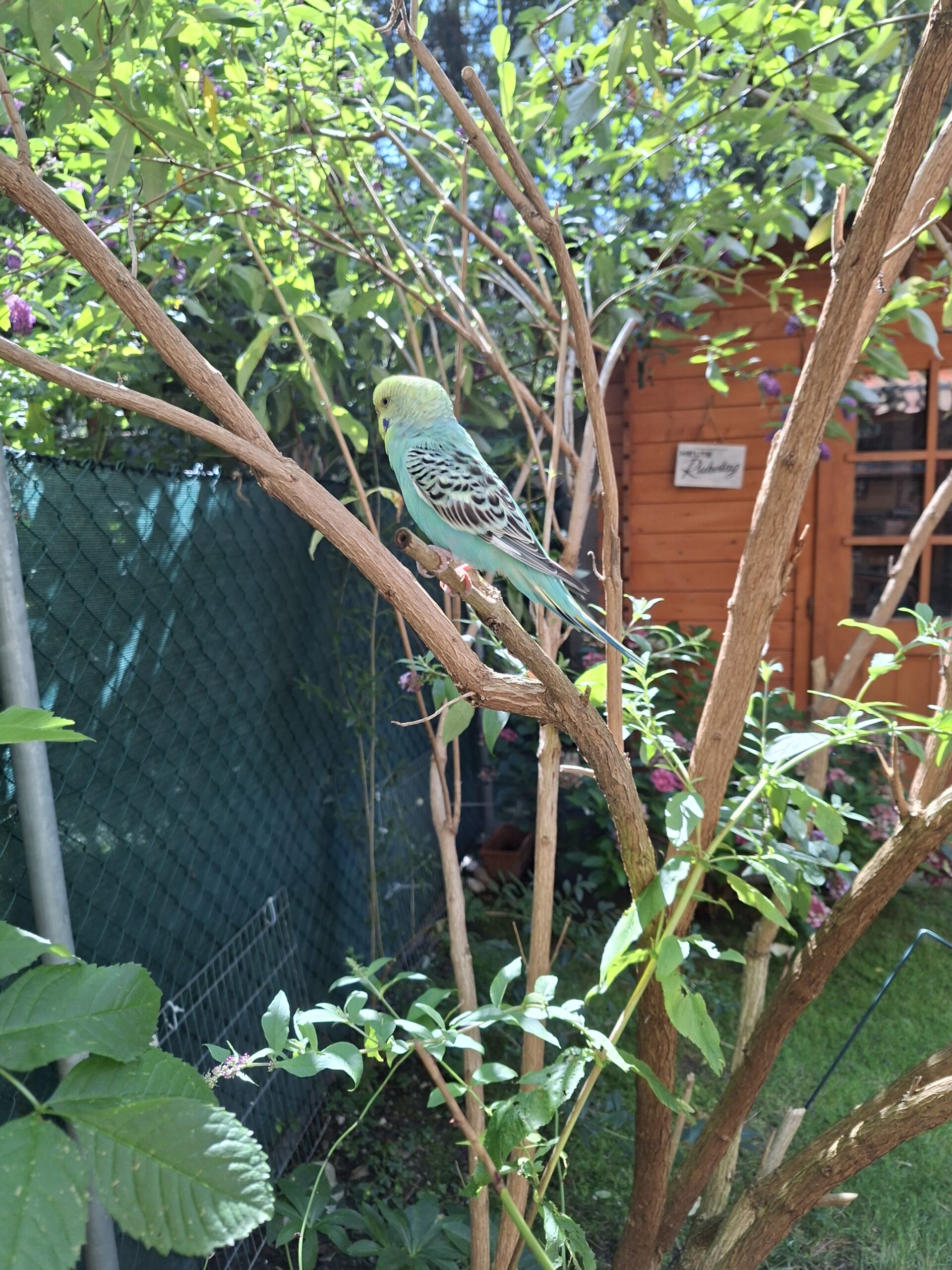 Innsbruck_FundWelli_Tiergartenstraße