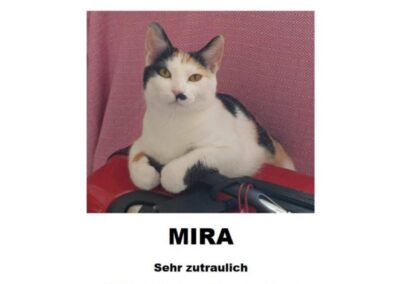 Mira, Innsbruck (08/2026)