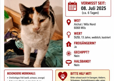 Susi, Mils bei Hall (08/2026)