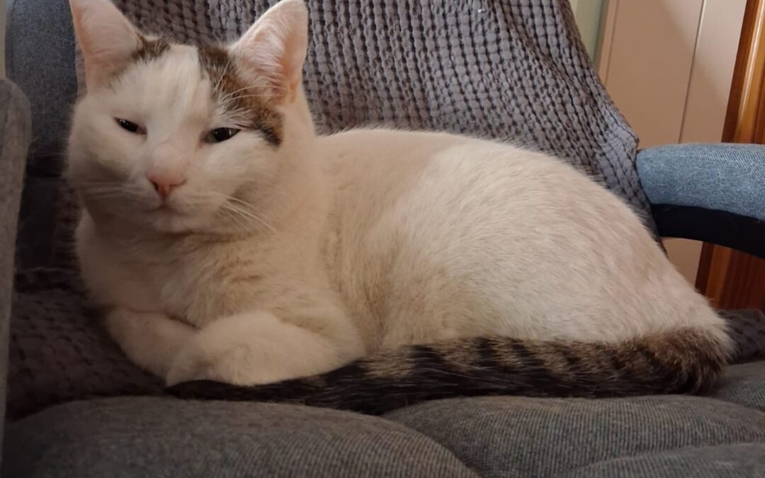 Max, Thaur (08/2026)