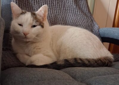 Max, Thaur (08/2026)