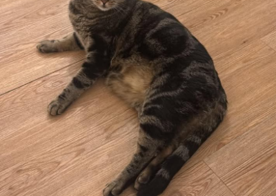 Mimi, Fulpmes (09/2026)