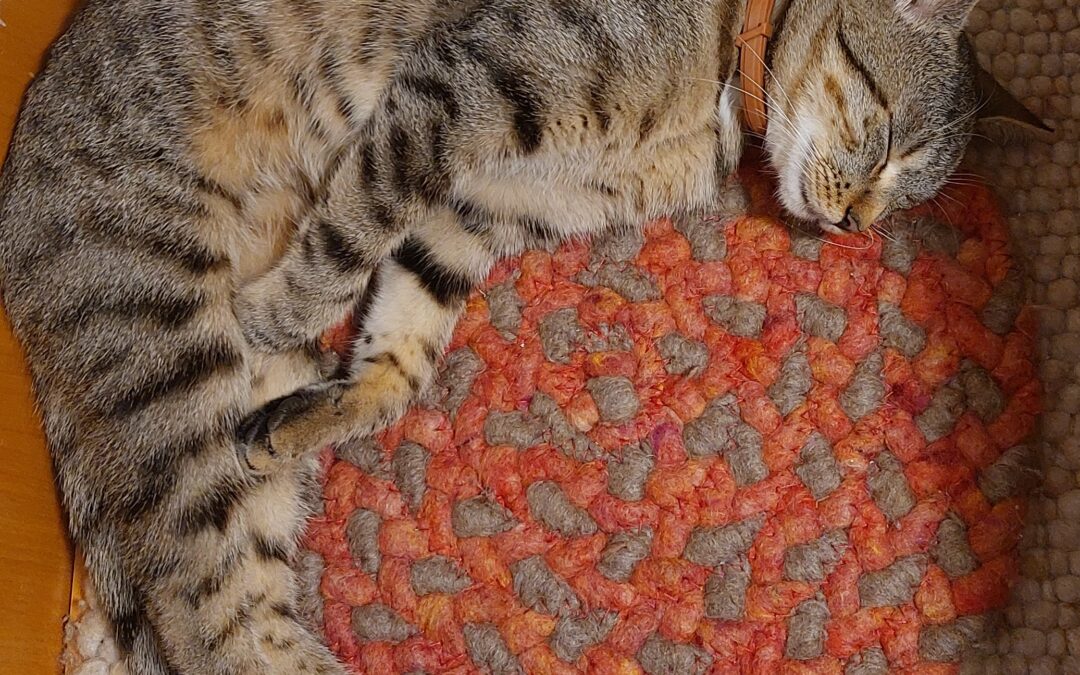 Findus, Gallzein (09/2026)