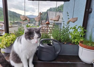 Jessi, Hopfgarten (09/2026)