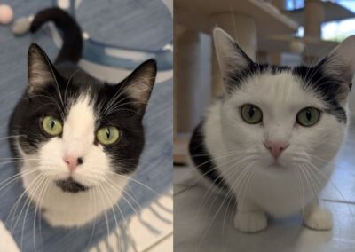 Luna & Lucia