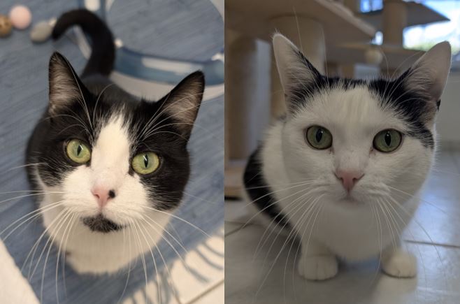 Luna & Lucia