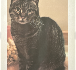 Lilly, Schwaz (09/2026)