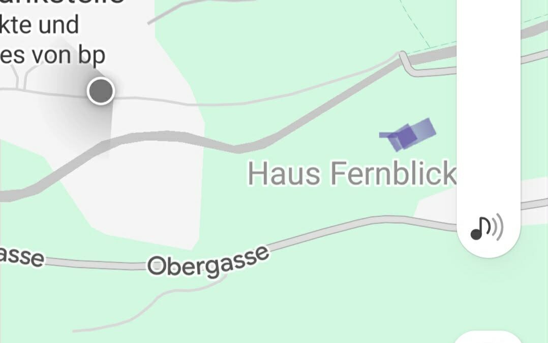 Totfund Katze, Neustift (09/2026)