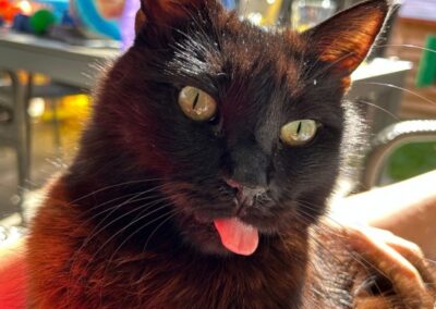 Tiggi, Volders (09/2026)