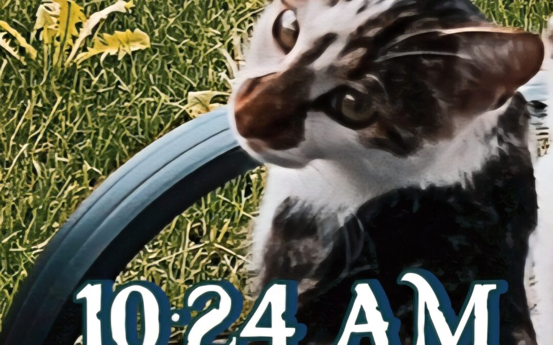 Gandalf, Zirl (09/2026)