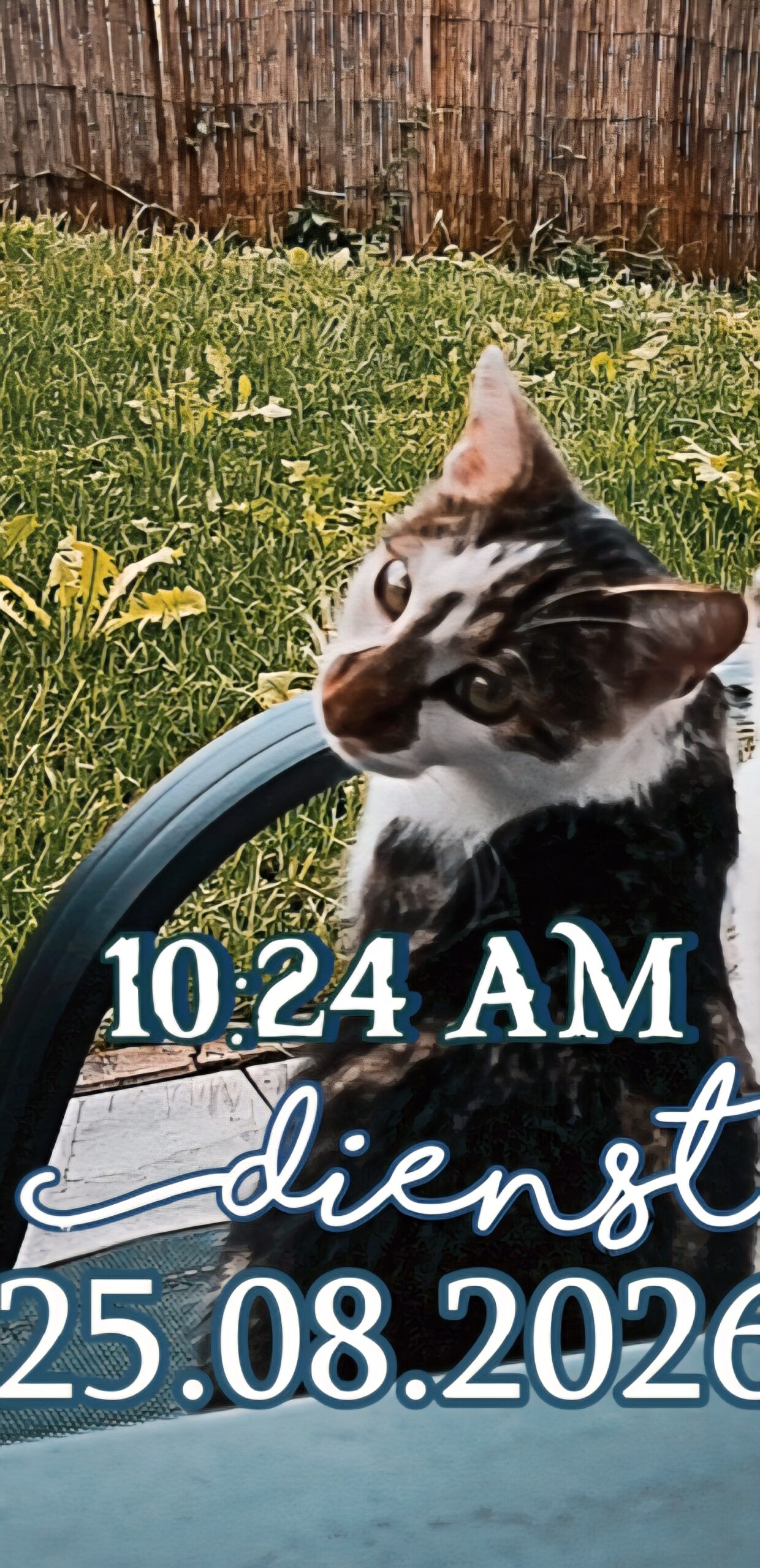 Zirl_Kater_Gandalf