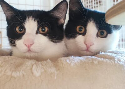 Bruno & Theo