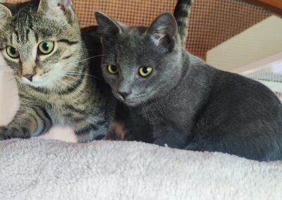 Cookie & Diego