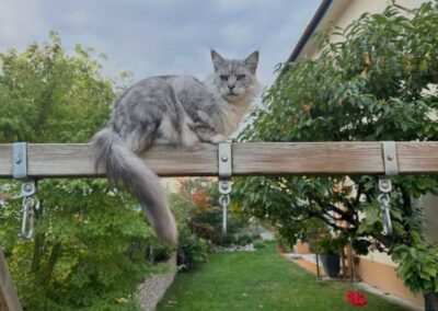 Ruffy, Landeck (10/2026)