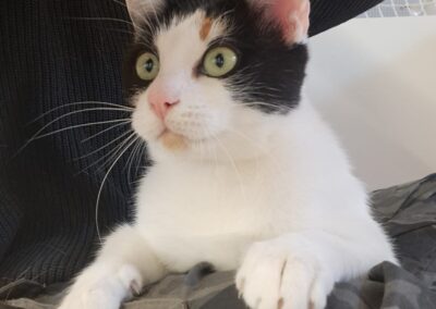 Lucy