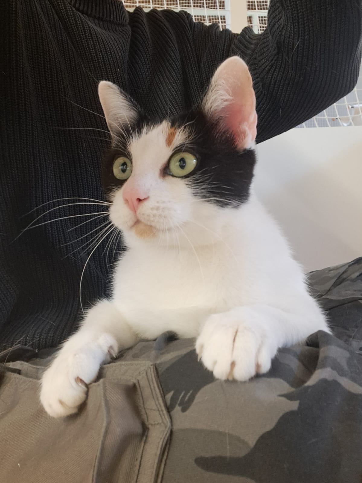 Lucy