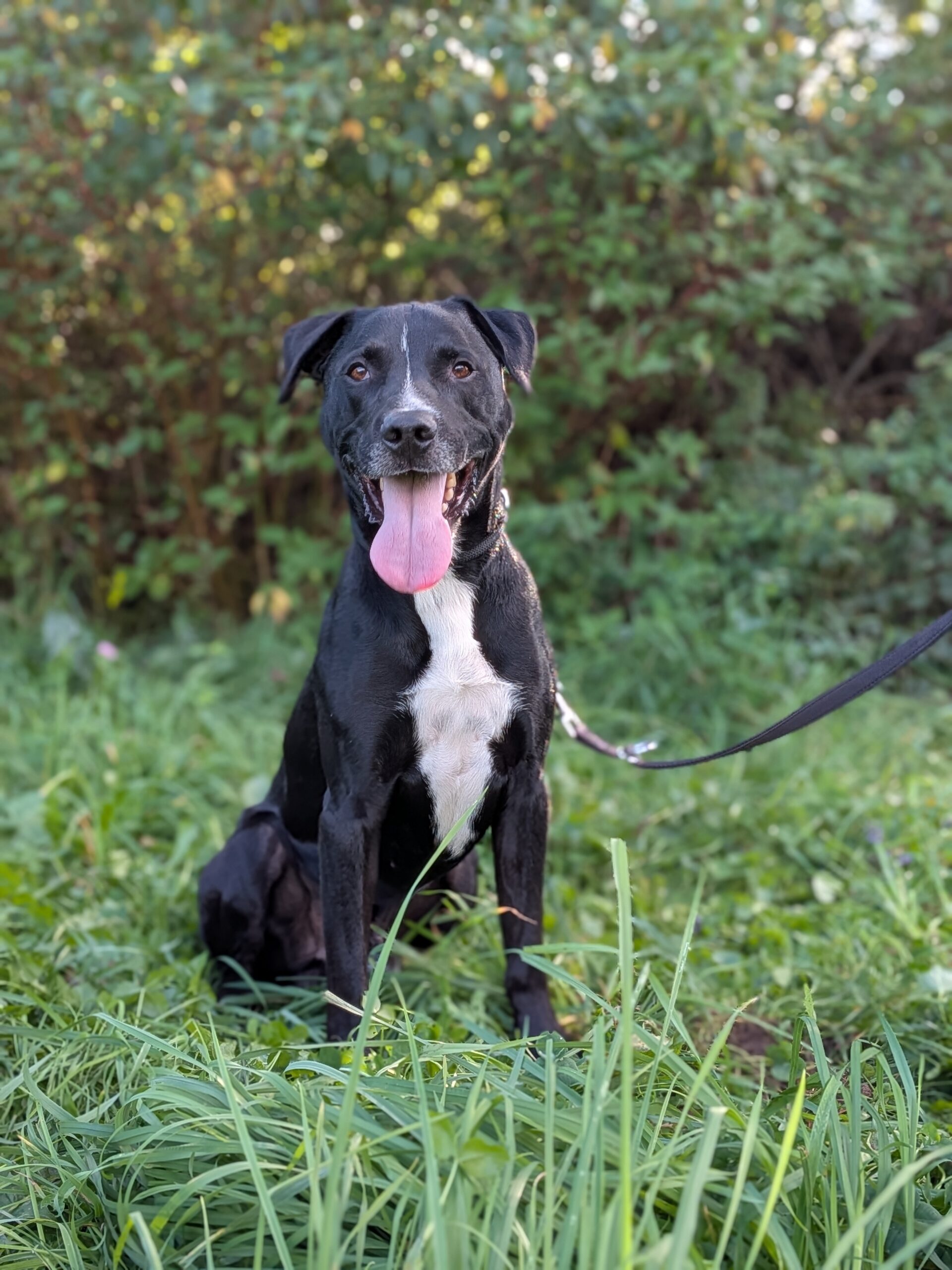 Zeus2