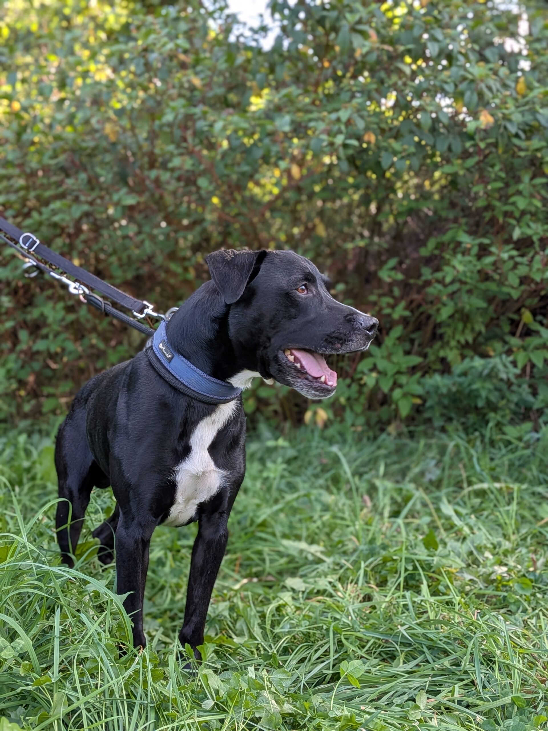 Zeus3
